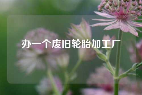 办一个废旧轮胎加工厂