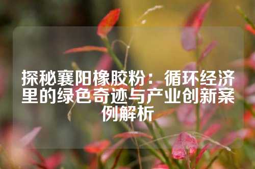 探秘襄阳橡胶粉：循环经济里的绿色奇迹与产业创新案例解析