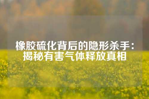 橡胶硫化背后的隐形杀手：揭秘有害气体释放真相