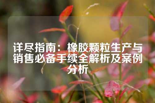 详尽指南：橡胶颗粒生产与销售必备手续全解析及案例分析