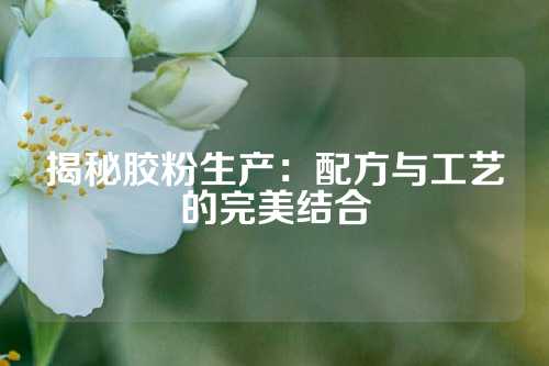 揭秘胶粉生产：配方与工艺的完美结合