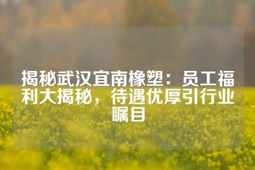 揭秘武汉宜南橡塑：员工福利大揭秘，待遇优厚引行业瞩目