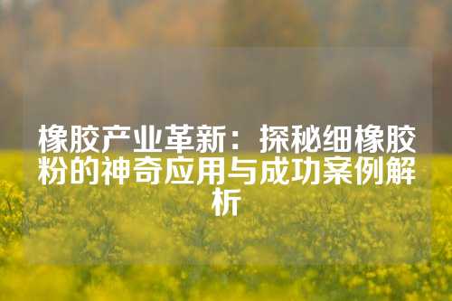 橡胶产业革新：探秘细橡胶粉的神奇应用与成功案例解析