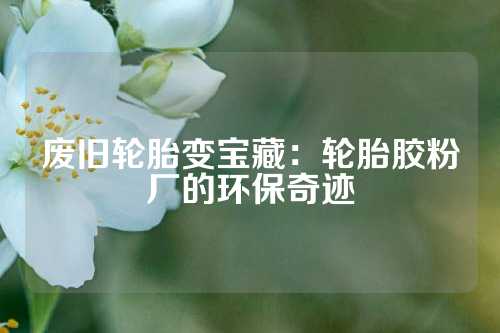 废旧轮胎变宝藏：轮胎胶粉厂的环保奇迹