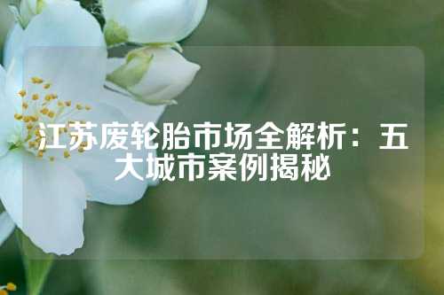 江苏废轮胎市场全解析：五大城市案例揭秘