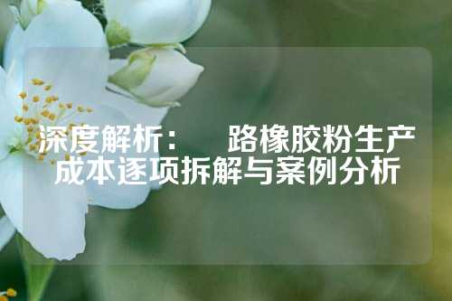 深度解析：俢路橡胶粉生产成本逐项拆解与案例分析