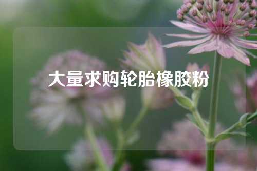 大量求购轮胎橡胶粉