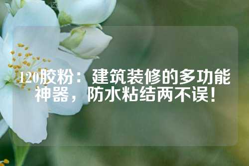 120胶粉：建筑装修的多功能神器，防水粘结两不误！