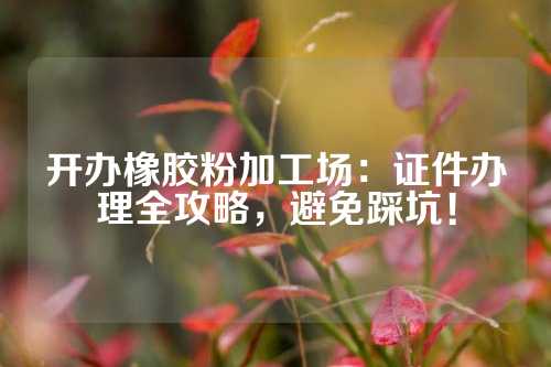 开办橡胶粉加工场：证件办理全攻略，避免踩坑！