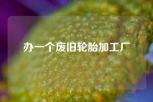 办一个废旧轮胎加工厂