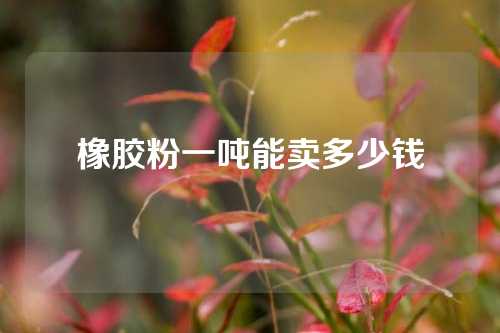 橡胶粉一吨能卖多少钱