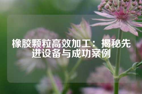 橡胶颗粒高效加工：揭秘先进设备与成功案例