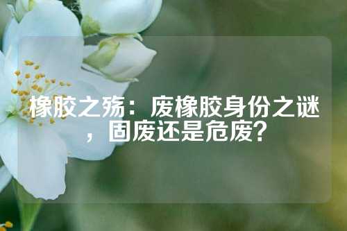 橡胶之殇：废橡胶身份之谜，固废还是危废？