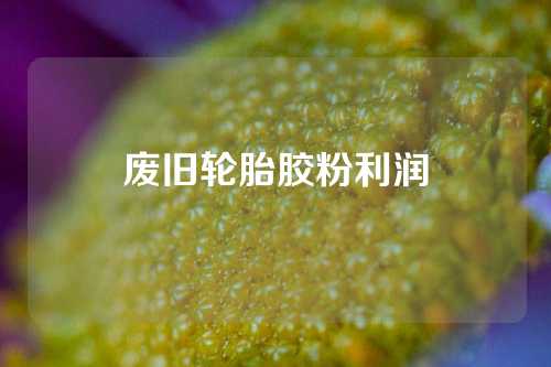 废旧轮胎胶粉利润