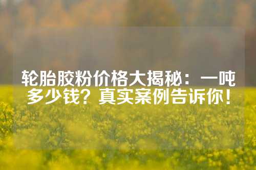 轮胎胶粉价格大揭秘：一吨多少钱？真实案例告诉你！