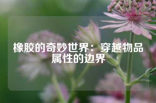 橡胶的奇妙世界：穿越物品属性的边界