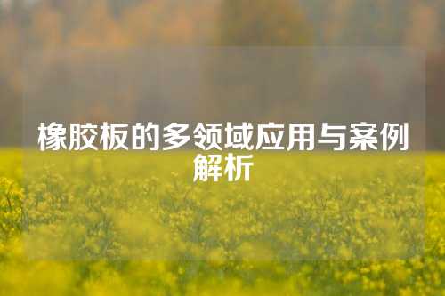 橡胶板的多领域应用与案例解析