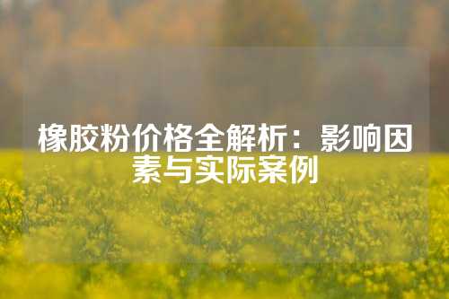 橡胶粉价格全解析：影响因素与实际案例