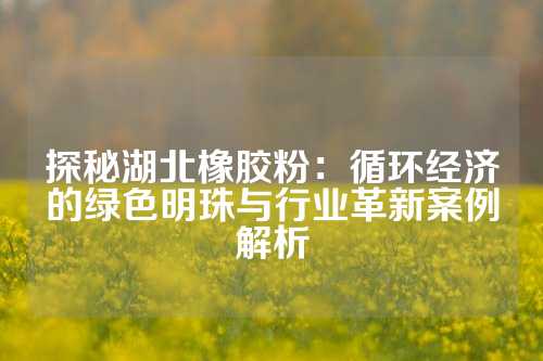 探秘湖北橡胶粉：循环经济的绿色明珠与行业革新案例解析
