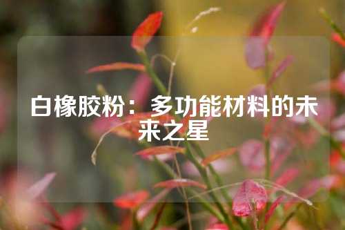 白橡胶粉：多功能材料的未来之星