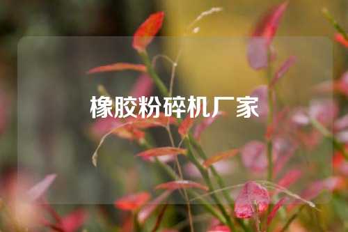 橡胶粉碎机厂家