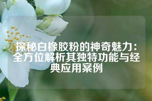 探秘白橡胶粉的神奇魅力：全方位解析其独特功能与经典应用案例