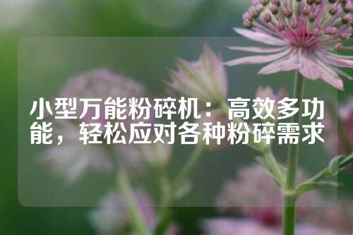 小型万能粉碎机：高效多功能，轻松应对各种粉碎需求