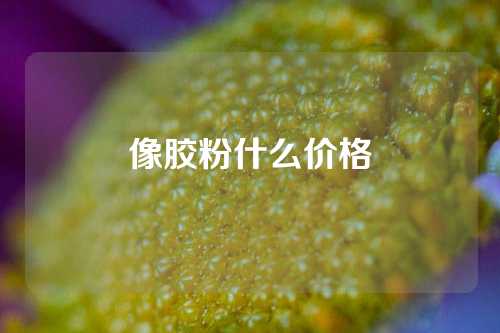 像胶粉什么价格