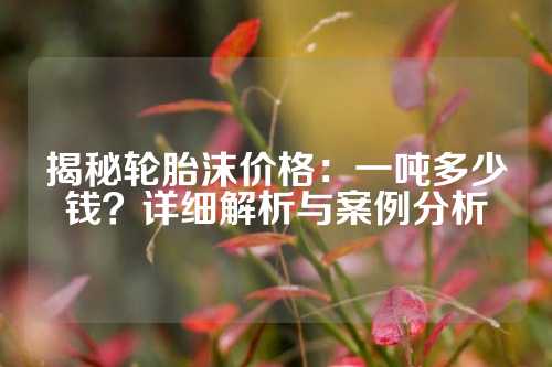 揭秘轮胎沫价格：一吨多少钱？详细解析与案例分析