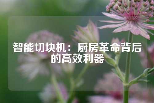 智能切块机：厨房革命背后的高效利器