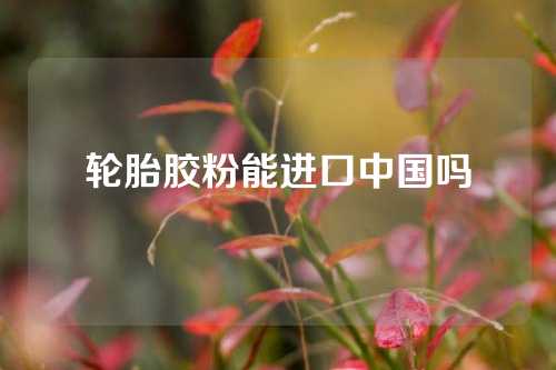 轮胎胶粉能进口中国吗