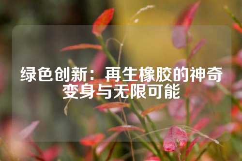 绿色创新：再生橡胶的神奇变身与无限可能
