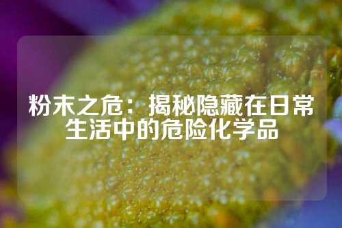 粉末之危：揭秘隐藏在日常生活中的危险化学品