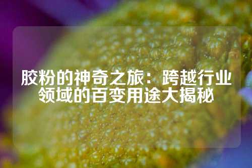 胶粉的神奇之旅：跨越行业领域的百变用途大揭秘