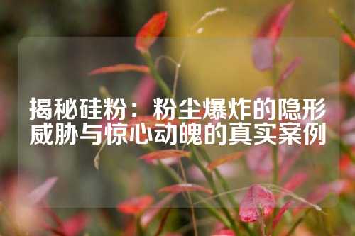 揭秘硅粉：粉尘爆炸的隐形威胁与惊心动魄的真实案例