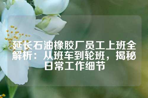 延长石油橡胶厂员工上班全解析：从班车到轮班，揭秘日常工作细节