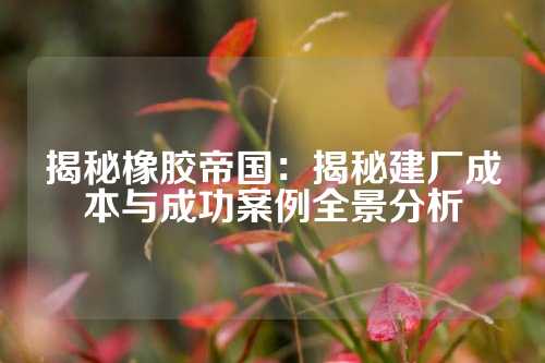 揭秘橡胶帝国：揭秘建厂成本与成功案例全景分析