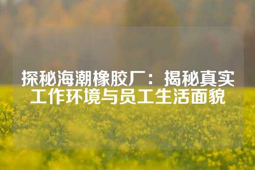 探秘海潮橡胶厂：揭秘真实工作环境与员工生活面貌