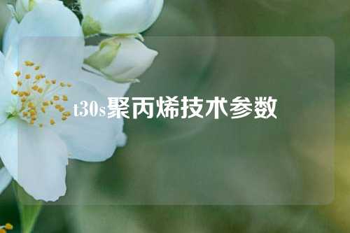 t30s聚丙烯技术参数