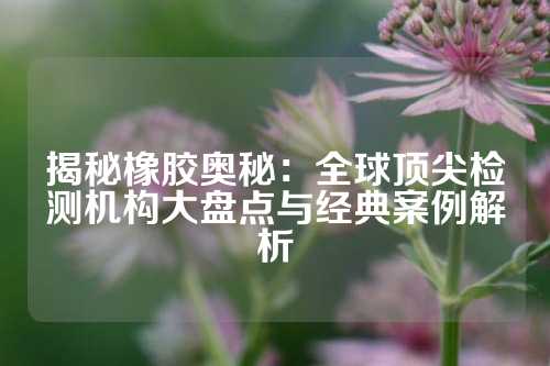 揭秘橡胶奥秘：全球顶尖检测机构大盘点与经典案例解析