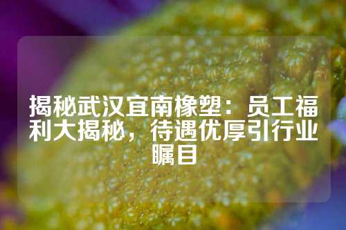 揭秘武汉宜南橡塑：员工福利大揭秘，待遇优厚引行业瞩目