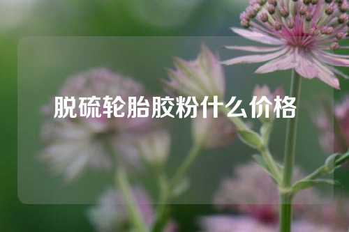 脱硫轮胎胶粉什么价格