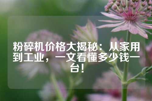 粉碎机价格大揭秘：从家用到工业，一文看懂多少钱一台！