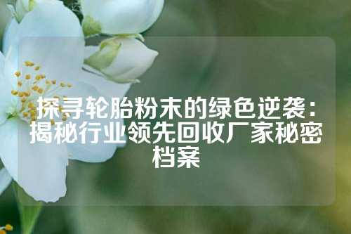 探寻轮胎粉末的绿色逆袭：揭秘行业领先回收厂家秘密档案