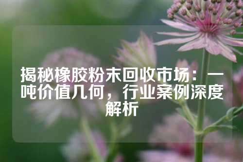 揭秘橡胶粉末回收市场：一吨价值几何，行业案例深度解析