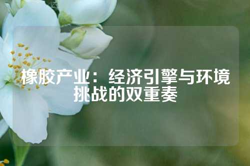 橡胶产业：经济引擎与环境挑战的双重奏