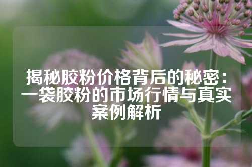 揭秘胶粉价格背后的秘密：一袋胶粉的市场行情与真实案例解析