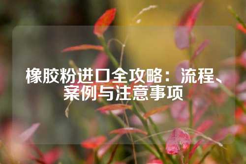 橡胶粉进口全攻略：流程、案例与注意事项
