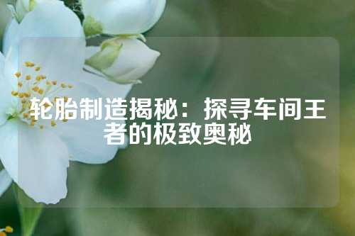 轮胎制造揭秘：探寻车间王者的极致奥秘