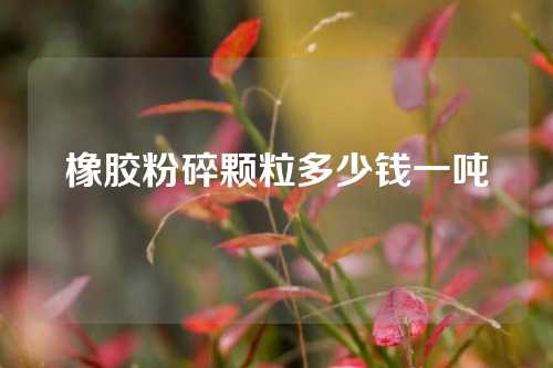 橡胶粉碎颗粒多少钱一吨